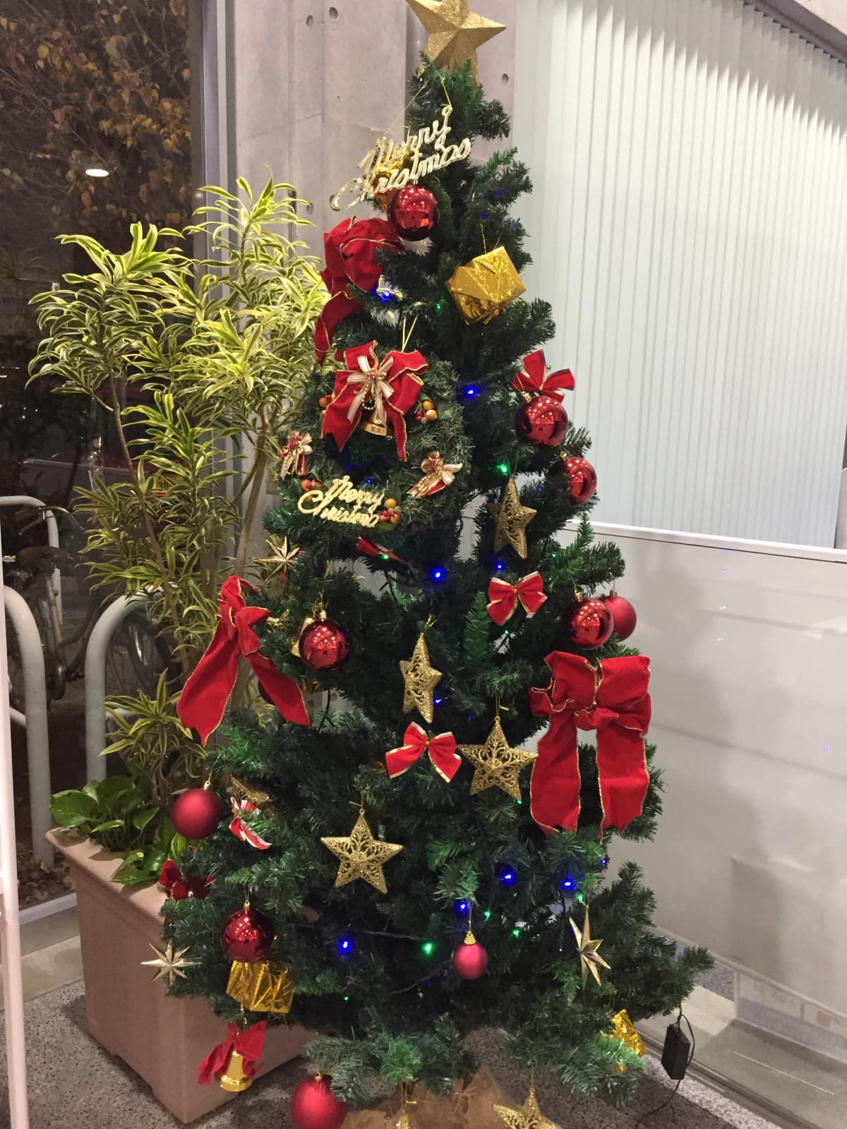 サムネイル画像 4