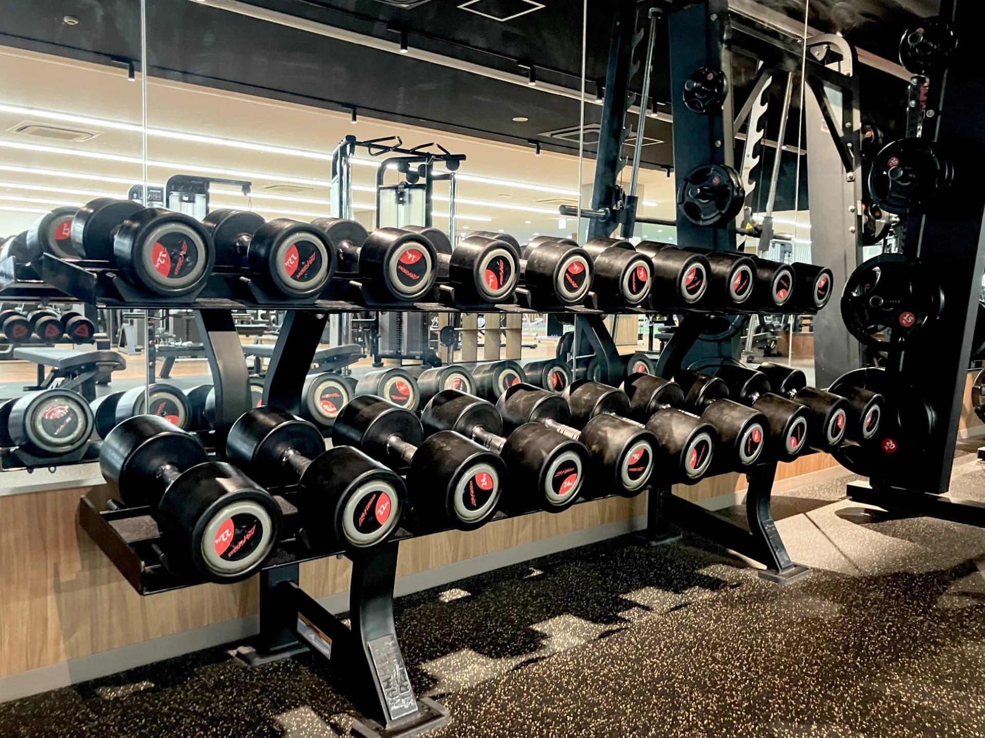 RENAISSANCE(ルネサンス) スイミング・水泳 稲毛24のサムネイル画像 5