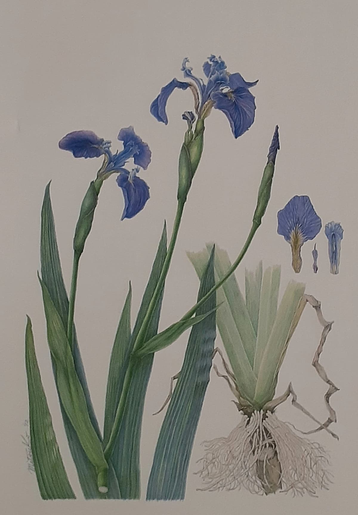 サムネイル画像 3