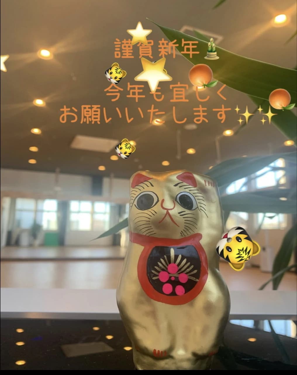 とみおかスイミングスクール 富岡教室 画像 7