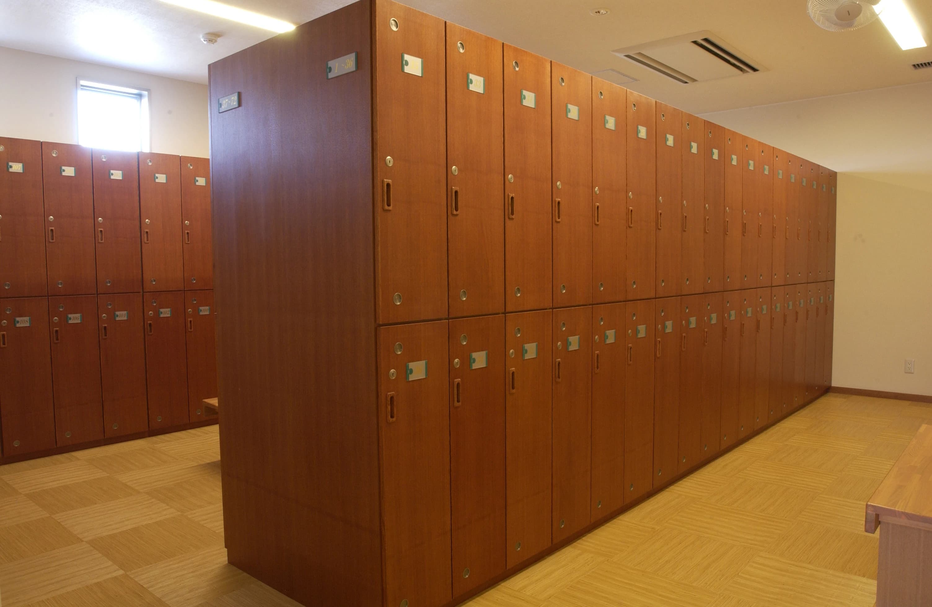 SAM(サム) スイミング・水泳 石芝 画像 16