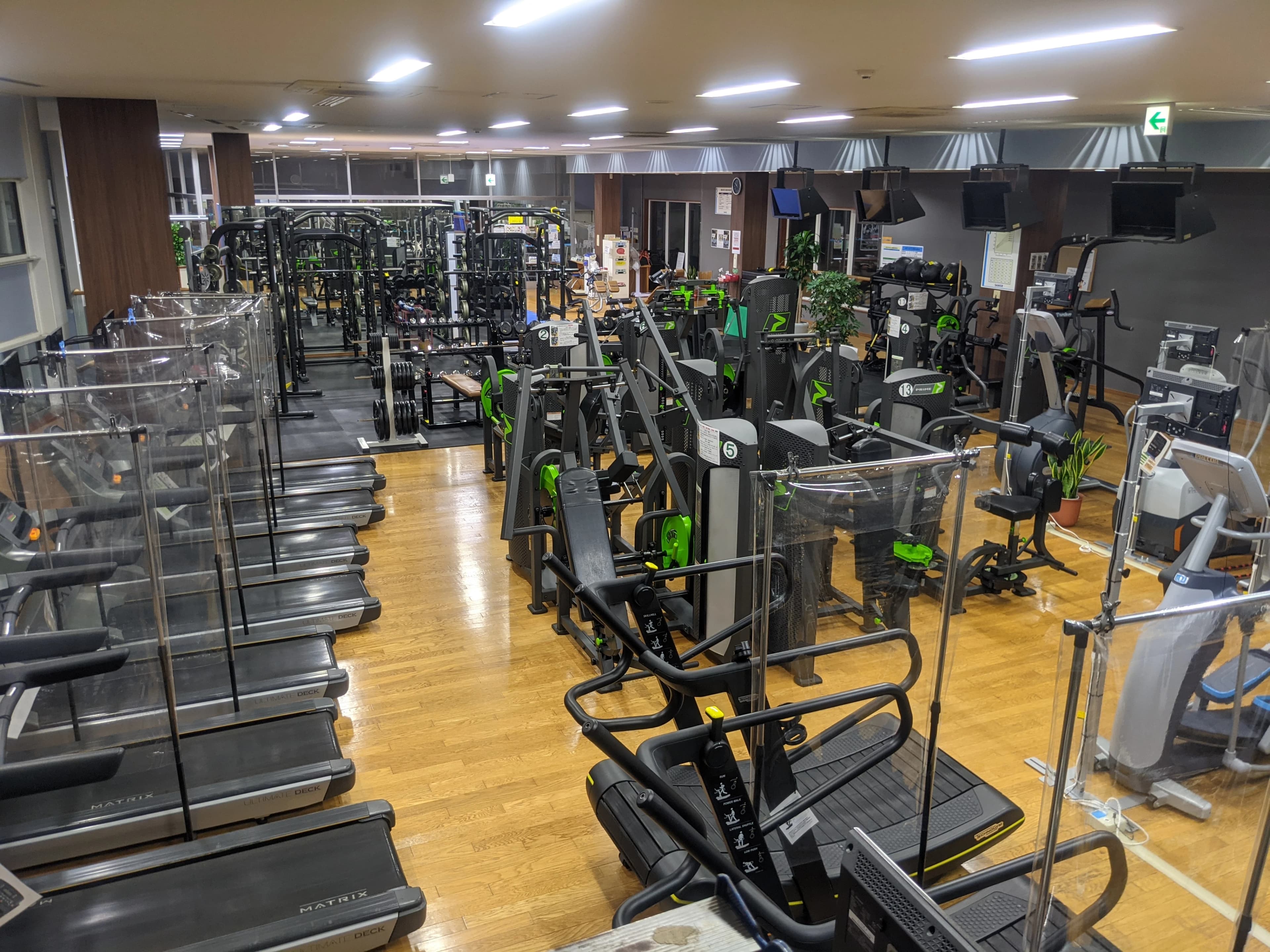 SAM(サム) スイミング・水泳 石芝 画像 9