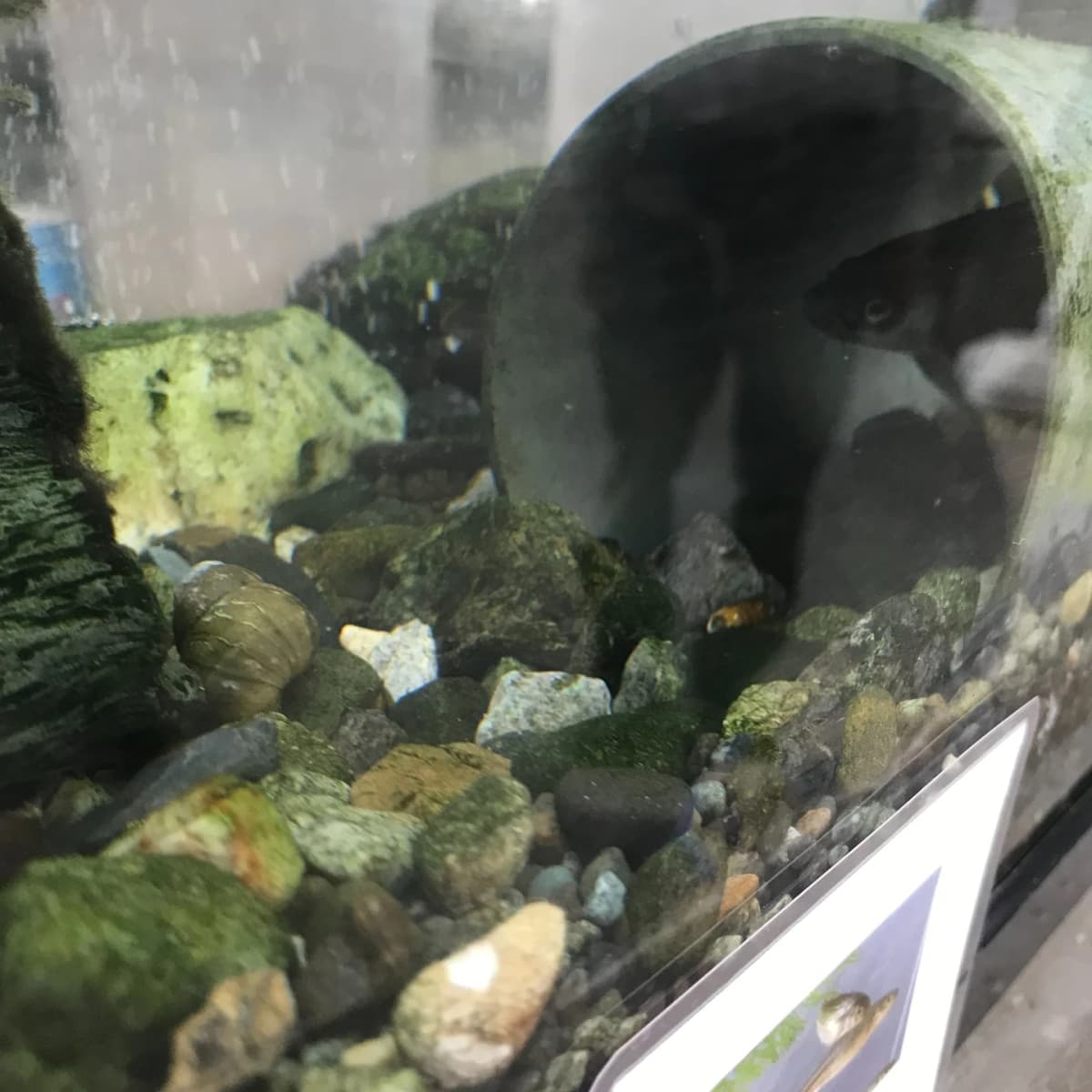 エコハウス138 スイミング・水泳 八瀬割教室 画像 19