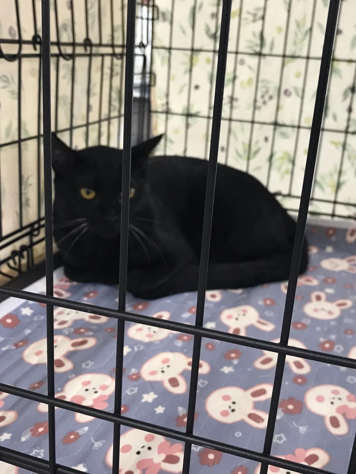 エコハウス138 スイミング・水泳 八瀬割教室 画像 26