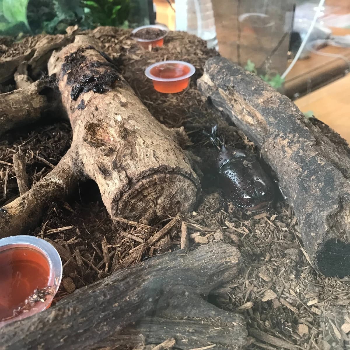 エコハウス138 スイミング・水泳 八瀬割教室のサムネイル画像 5