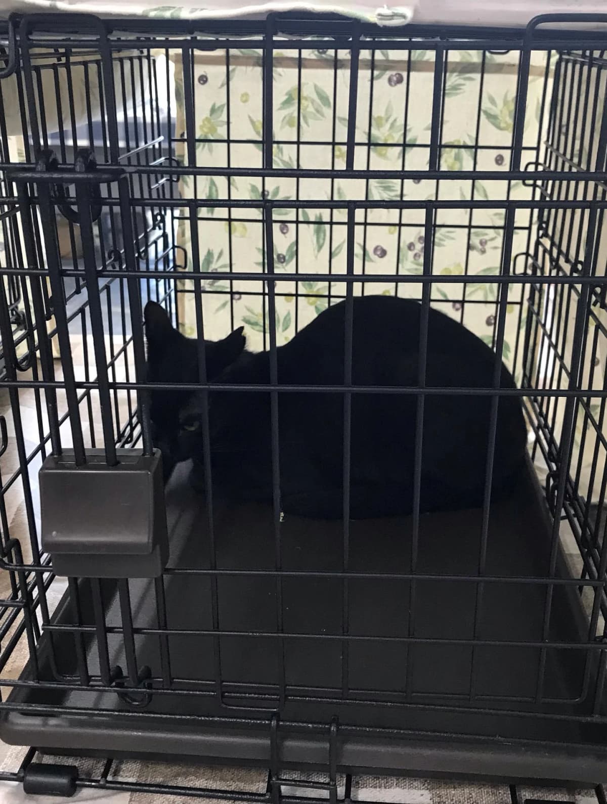 エコハウス138 スイミング・水泳 八瀬割教室 画像 33