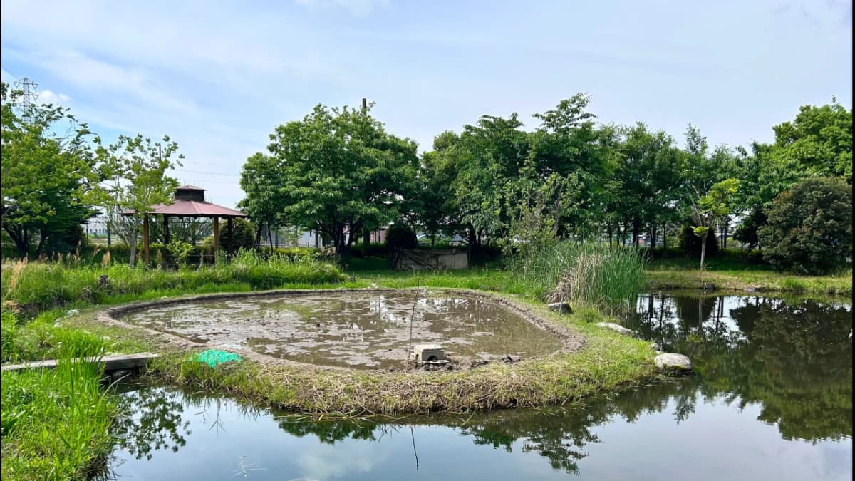 エコハウス138 スイミング・水泳 八瀬割教室 画像 42