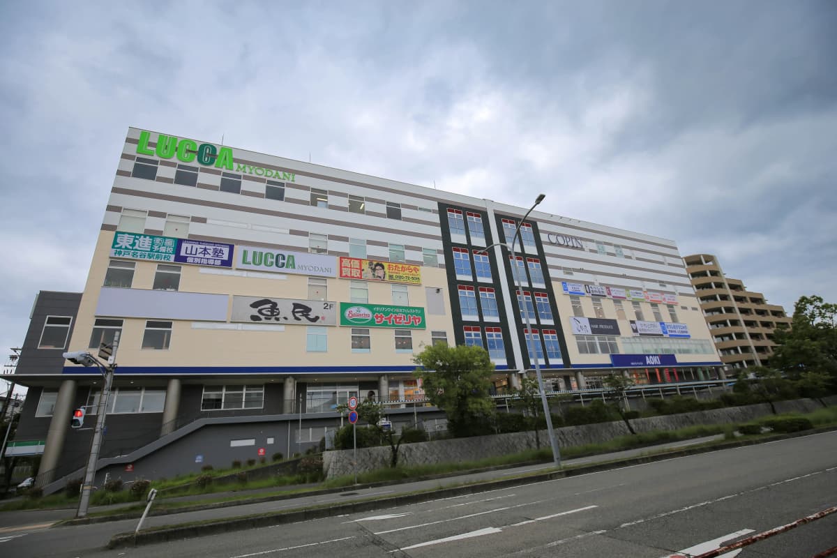 COSPA(コ・ス・パ) スイミング・水泳 名谷 画像 52