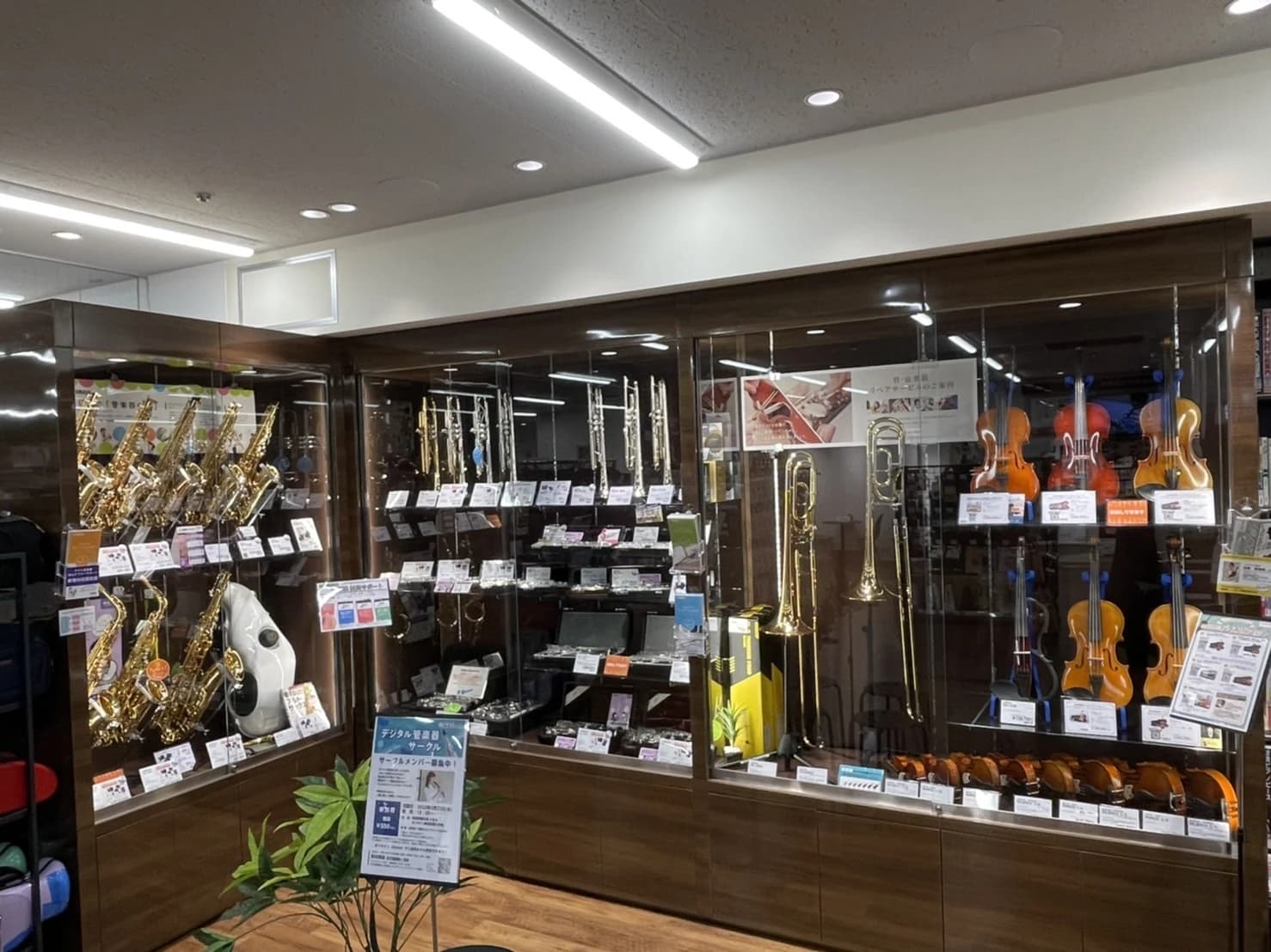 島村楽器の音楽教室 京王聖蹟桜ヶ丘店 アコースティックギターのサムネイル画像 5