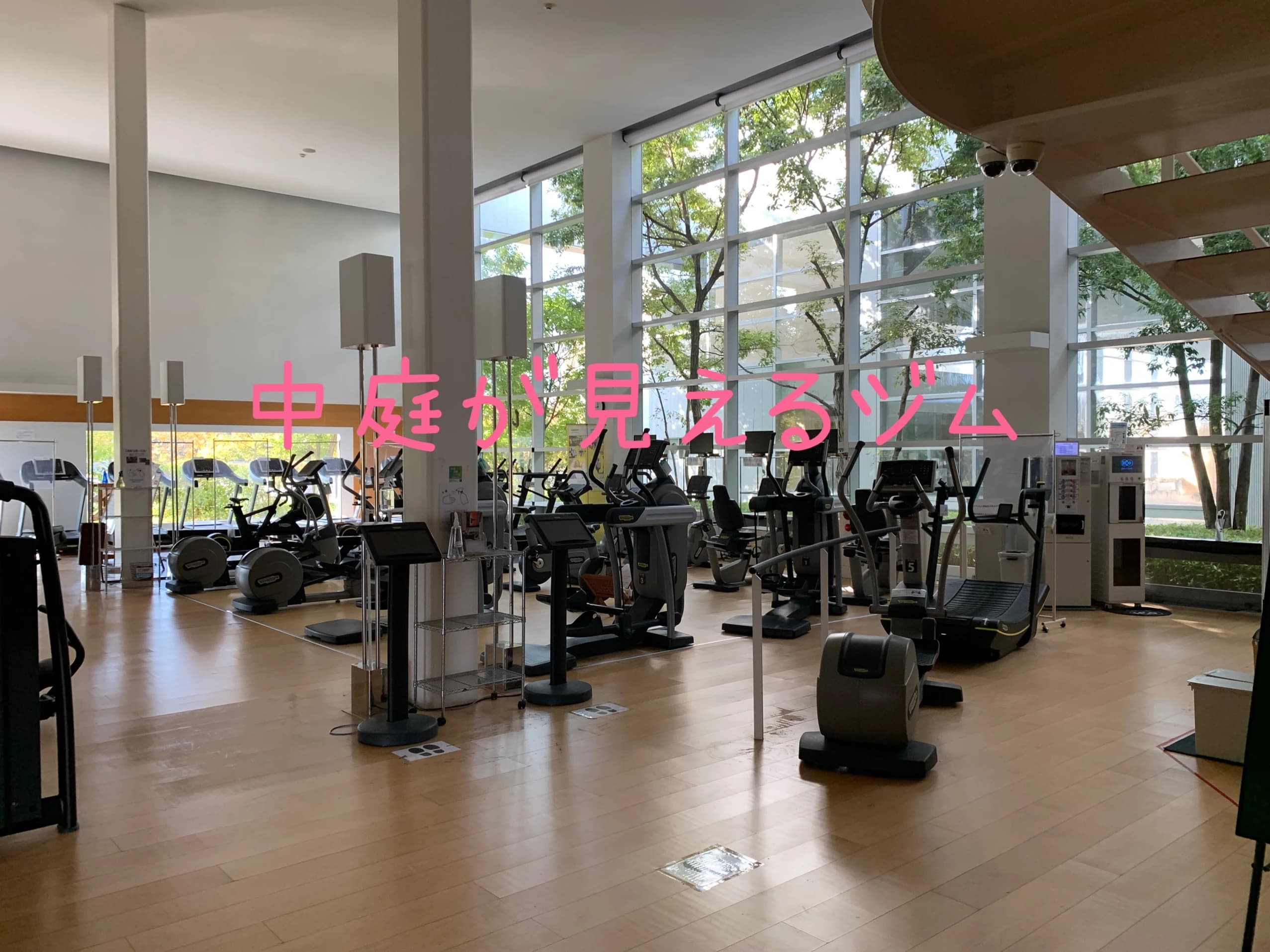 pinos(ピノス) スイミング・水泳 ピノスけいはんなのサムネイル画像 4