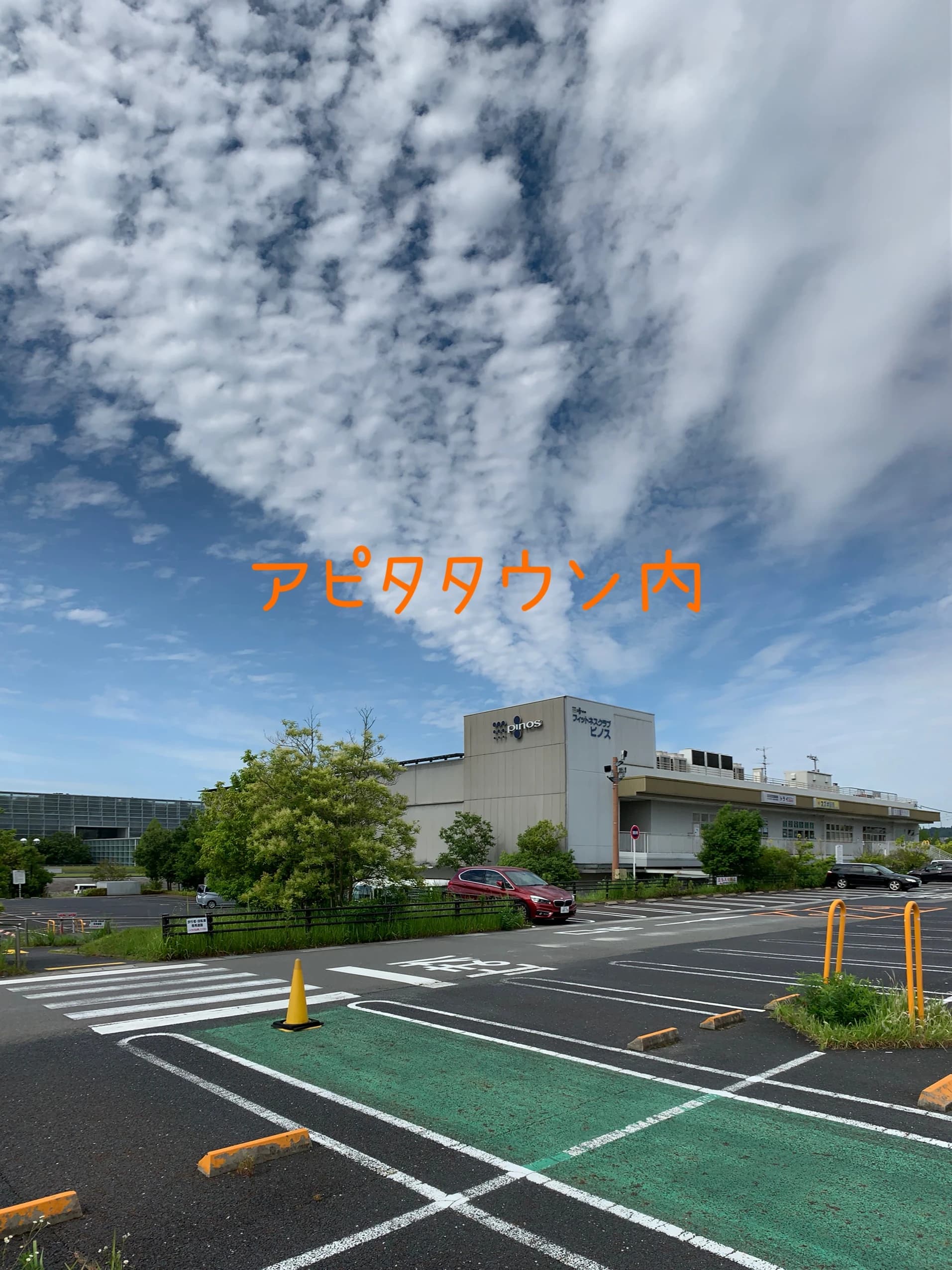 pinos(ピノス) スイミング・水泳 ピノスけいはんなのサムネイル画像 5