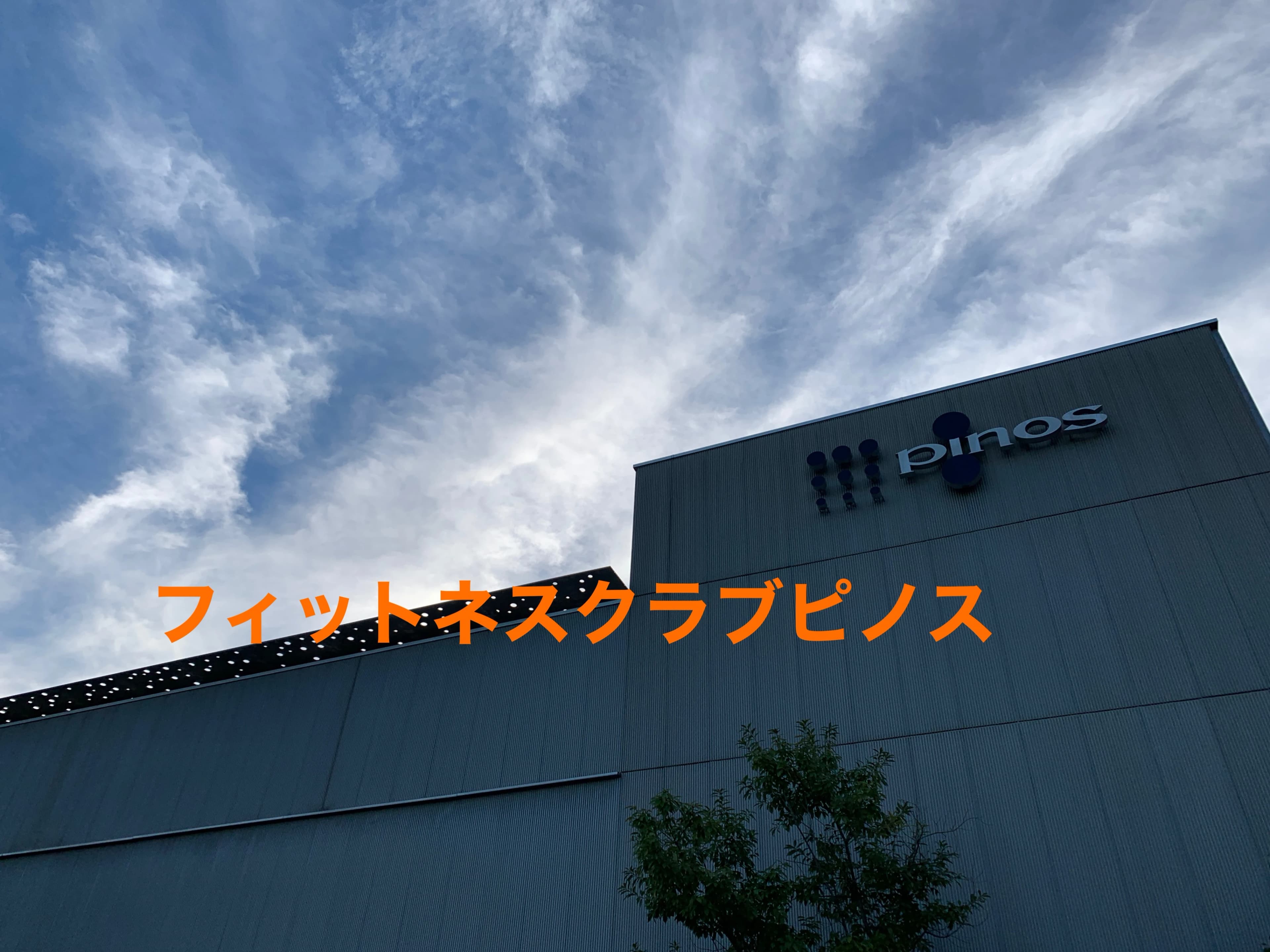 pinos(ピノス) スイミング・水泳 ピノスけいはんなのメイン画像