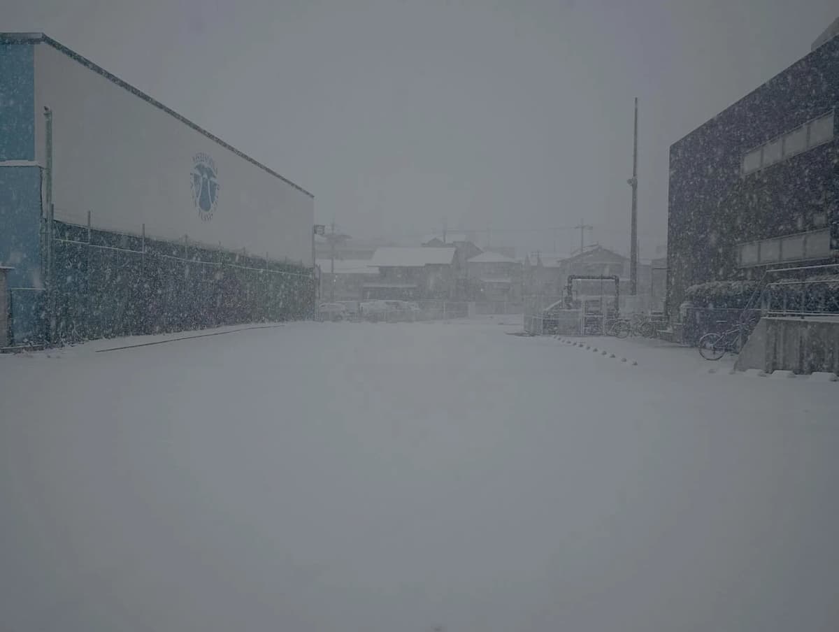 サムネイル画像 4