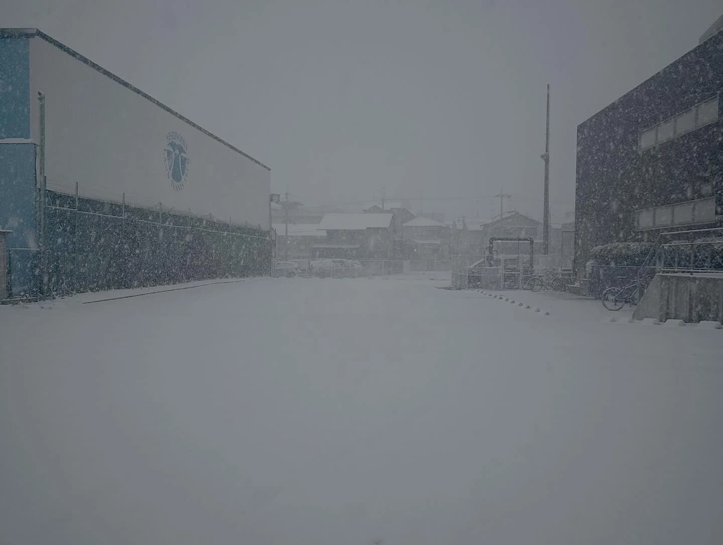 N.S.I スイミング・水泳 マナティスイミングスクール向日市のサムネイル画像 3