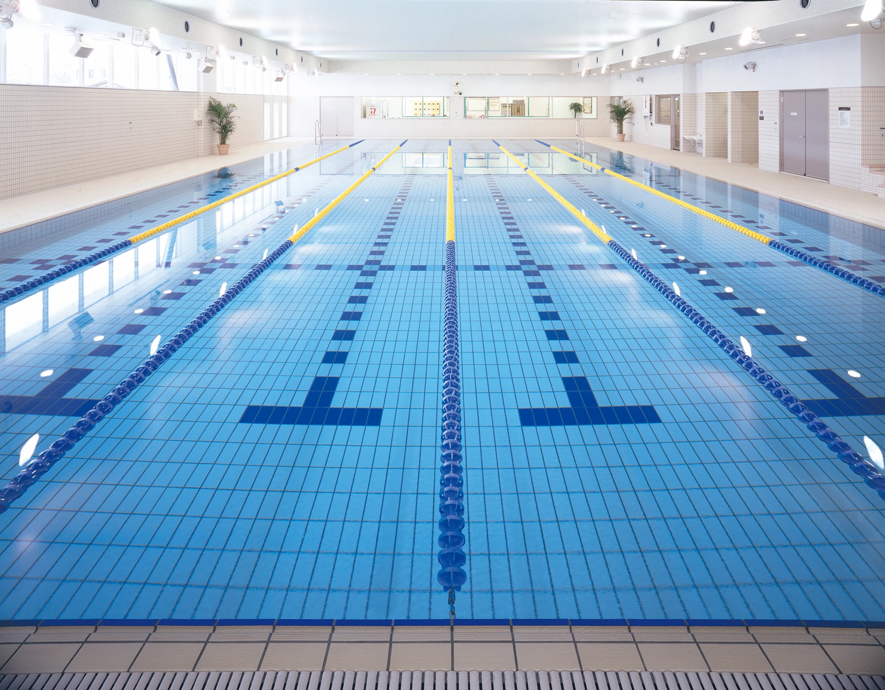 COSPA(コ・ス・パ) スイミング・水泳 松井山手24 画像 4