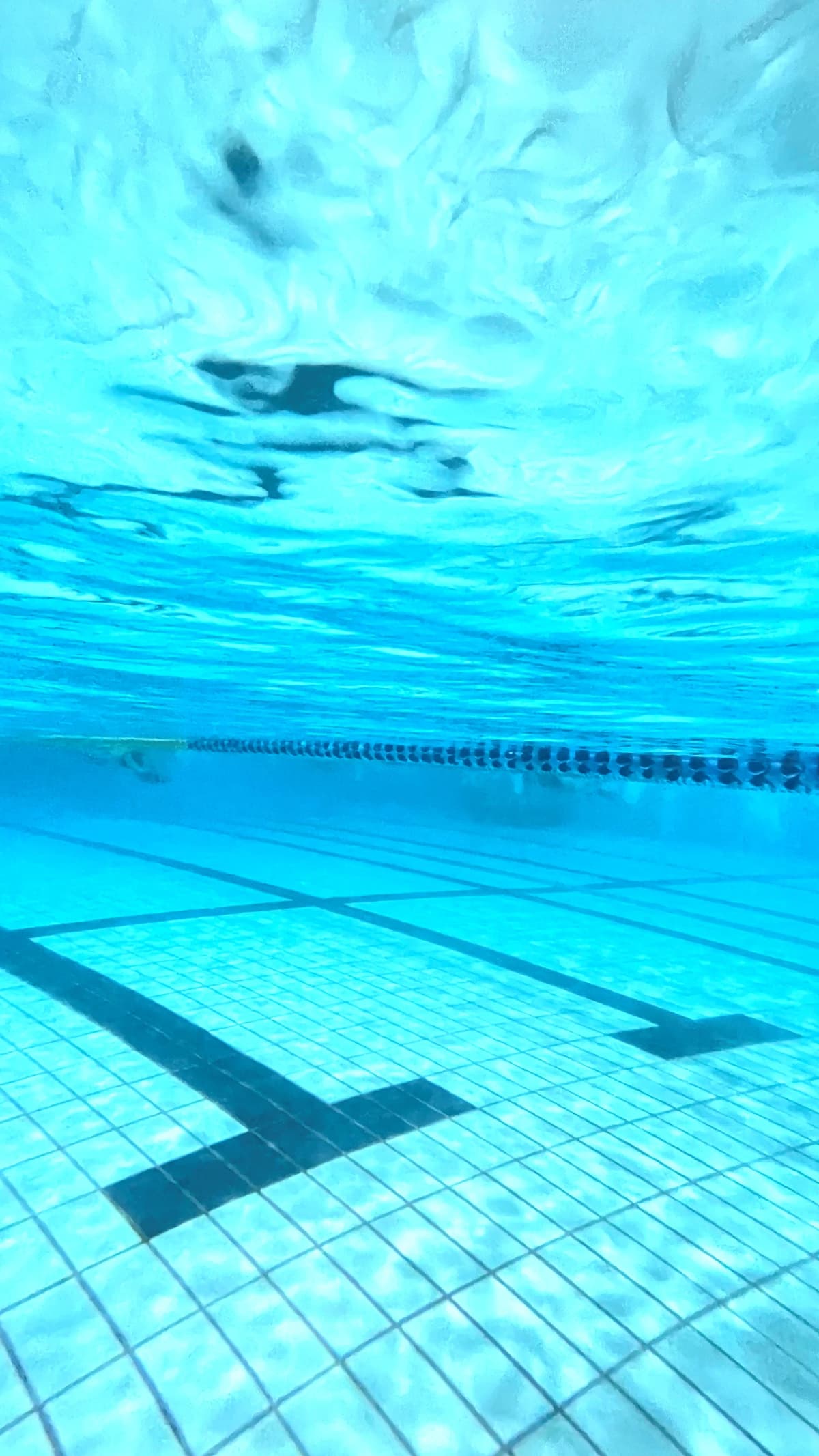 サムネイル画像 4