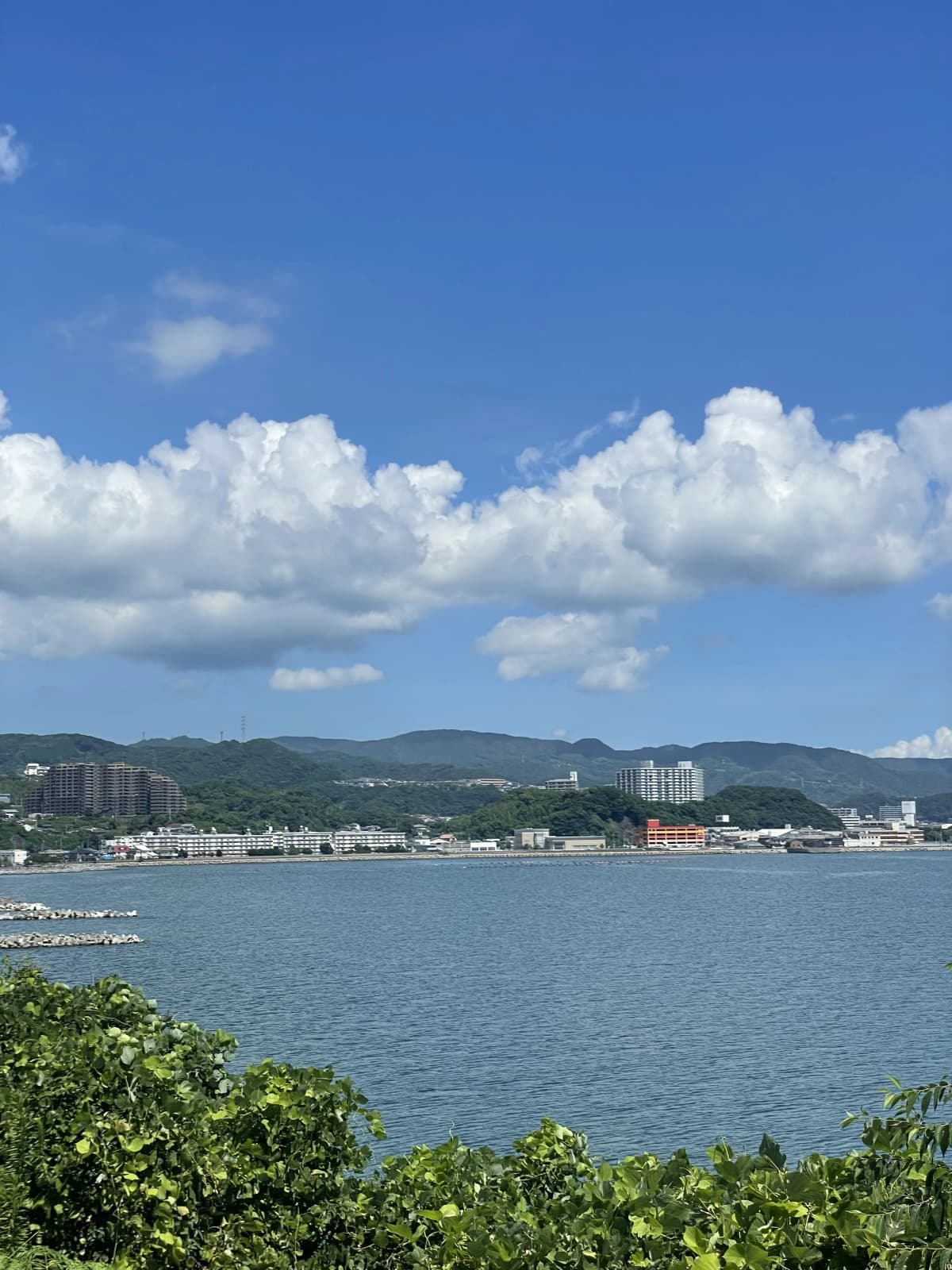 サムネイル画像 3