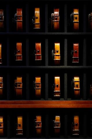 島村楽器の音楽教室 シマムラストリングス秋葉原 ヴァイオリンのサムネイル画像 4