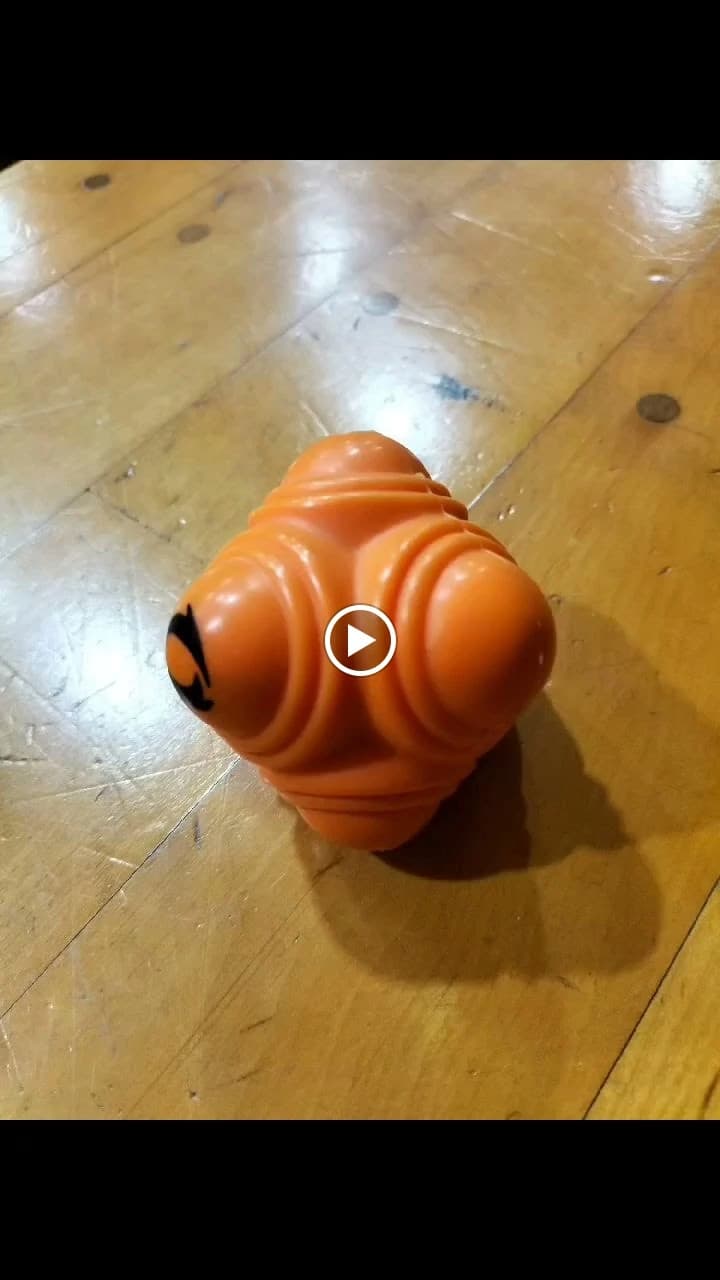 森本剣道塾 篠岡中学校のサムネイル画像 5