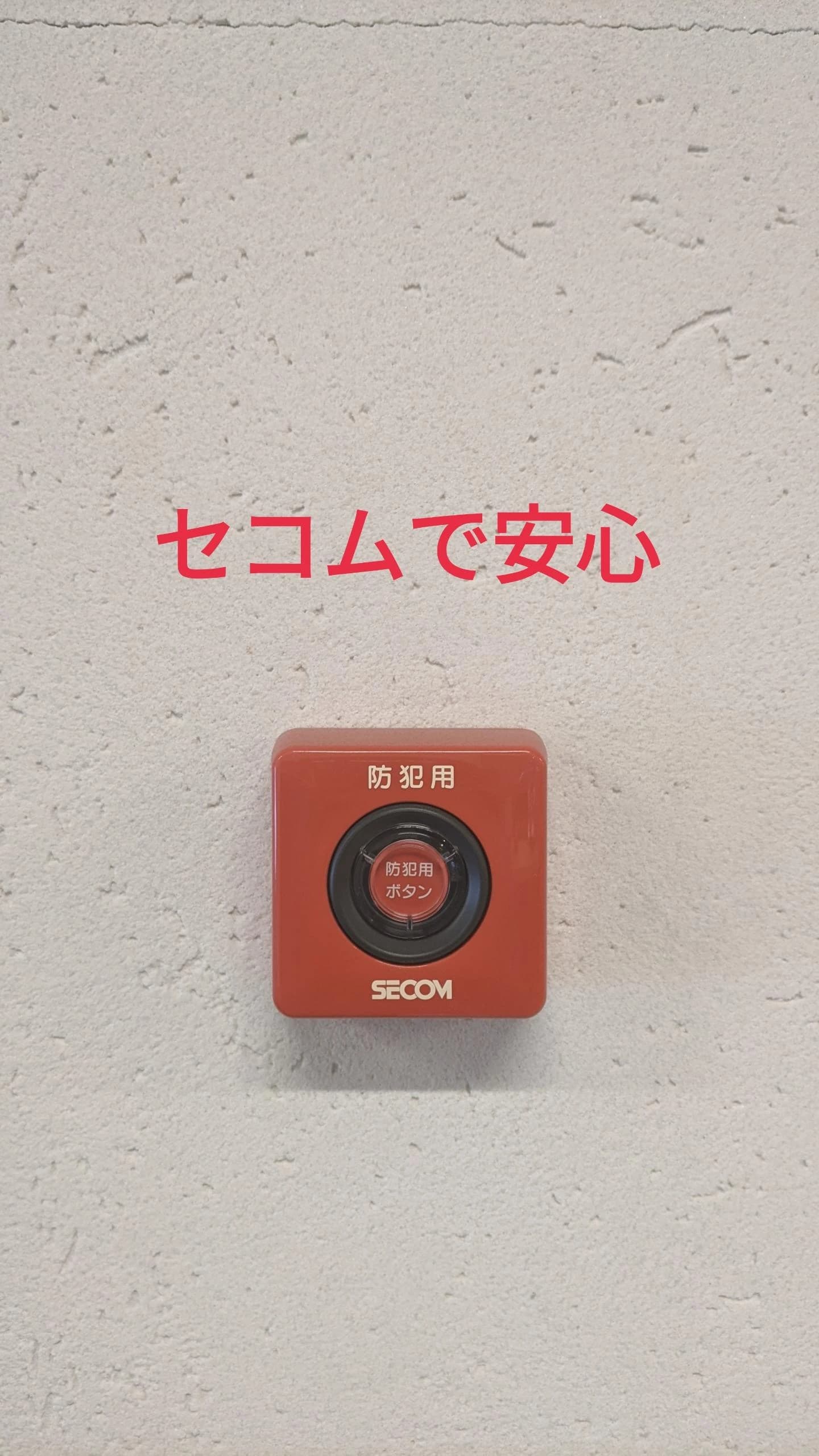 宮の森スポーツ倶楽部 運動・体操・陸上 恵庭校 画像 18