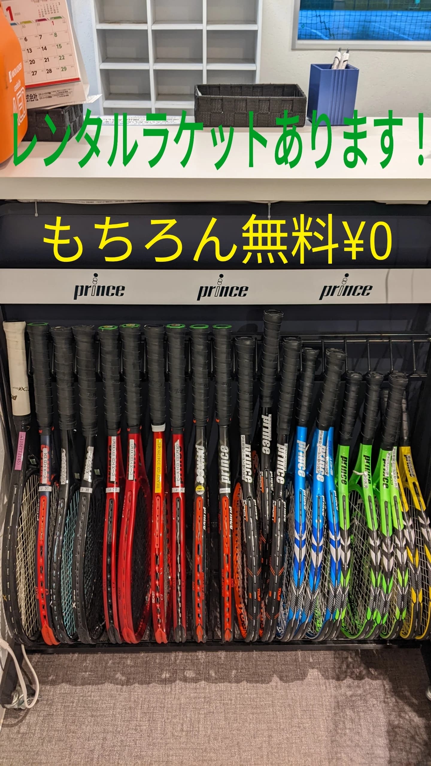 宮の森スポーツ倶楽部 運動・体操・陸上 恵庭校 画像 3
