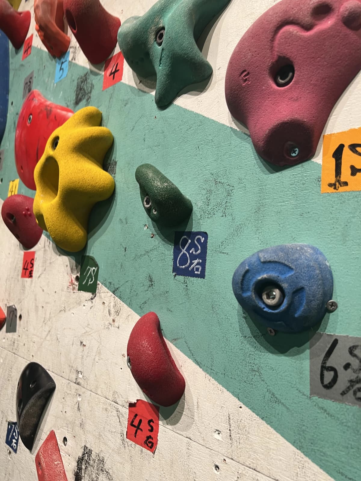 マグレブエスト 運動・体操・陸上 落合教室 画像 139