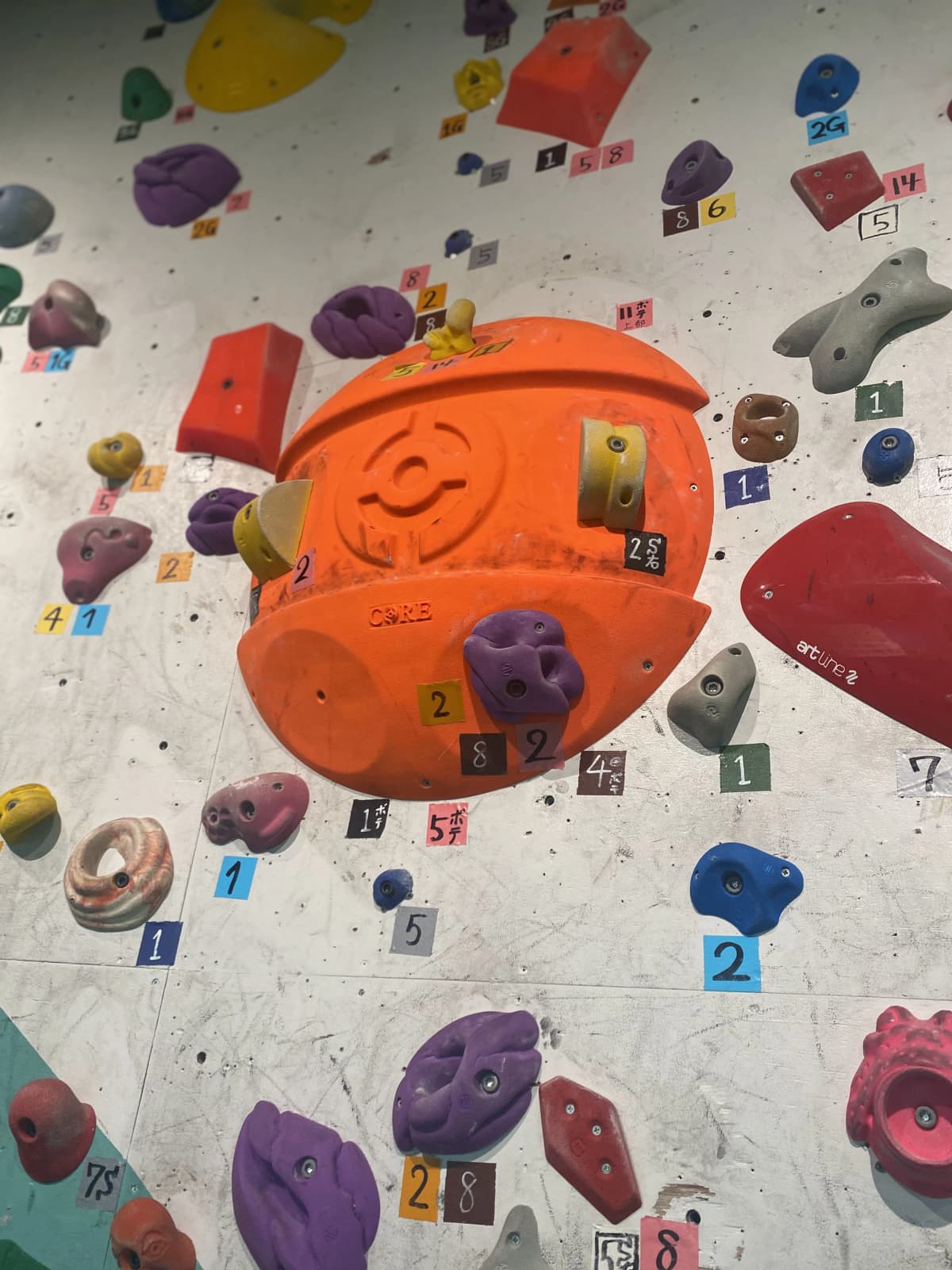 マグレブエスト 運動・体操・陸上 落合教室 画像 55