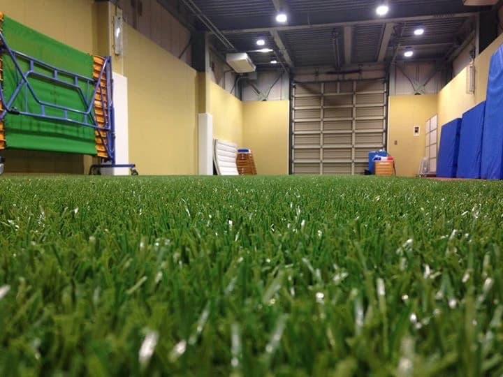 WINGATE(ウィンゲート) 運動・体操・陸上 ウィンゲート・トレーニングセンターのサムネイル画像 2