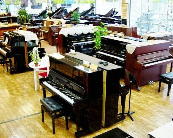 島村楽器の音楽教室 ピアノショールーム八千代店 幼児の基礎音楽のサムネイル画像 3