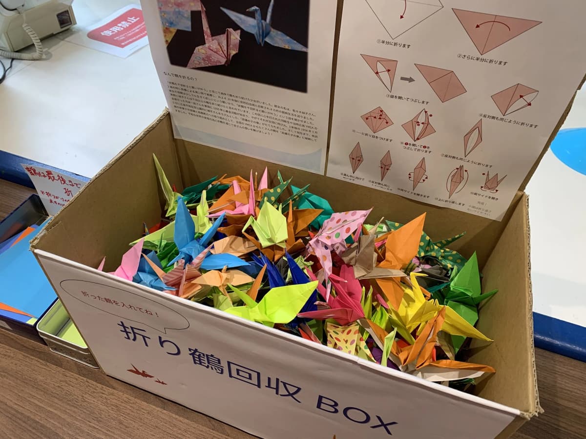 横浜YMCA 運動・体操・陸上 横浜中央YMCAウエルネススポーツクラブ 画像 5