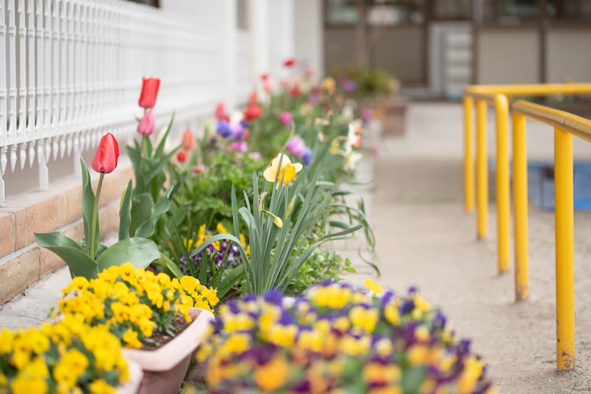 サムネイル画像 5