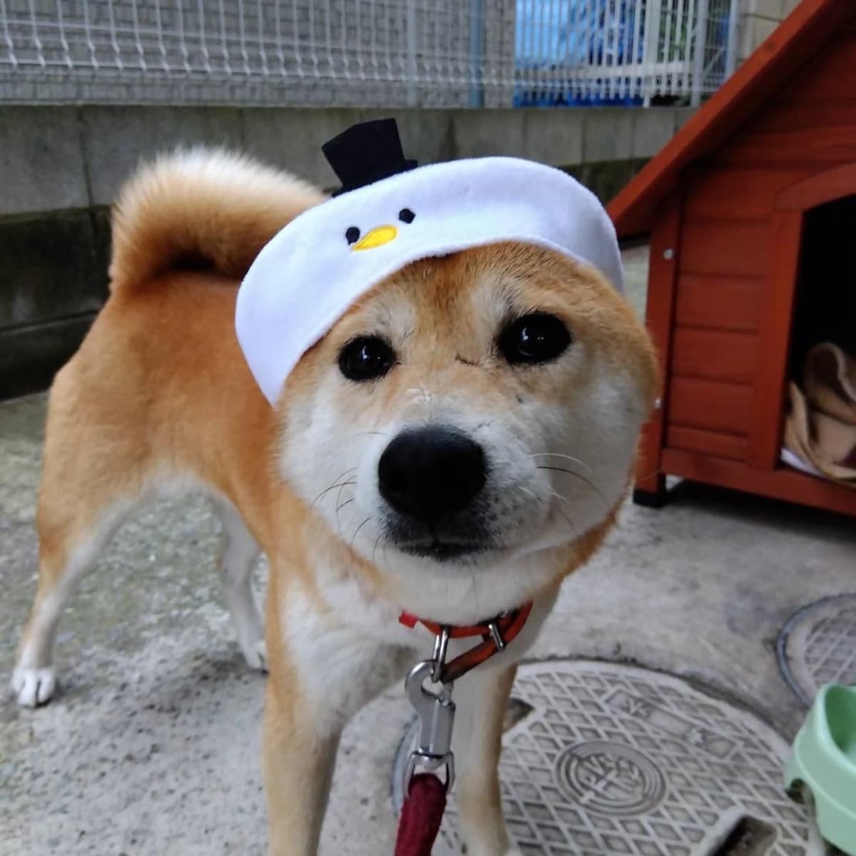 からだ塾 運動・体操・陸上 大和田教室のメイン画像