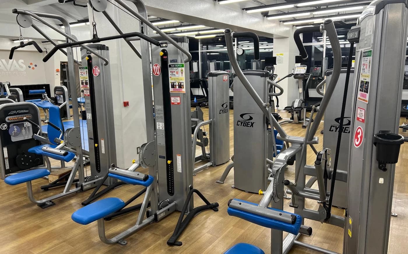 ZAVAS(ザバス) 運動・体操・陸上 新松戸のサムネイル画像 5