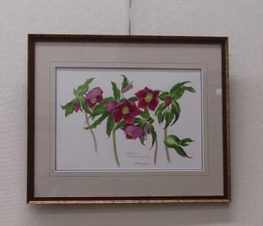 カルチャーセンター 運動・体操・陸上 取手カルチャーセンター 画像 121