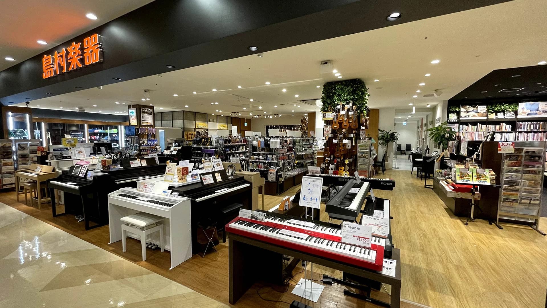 島村楽器の音楽教室 マークイズ福岡ももち店 エレキギターのメイン画像