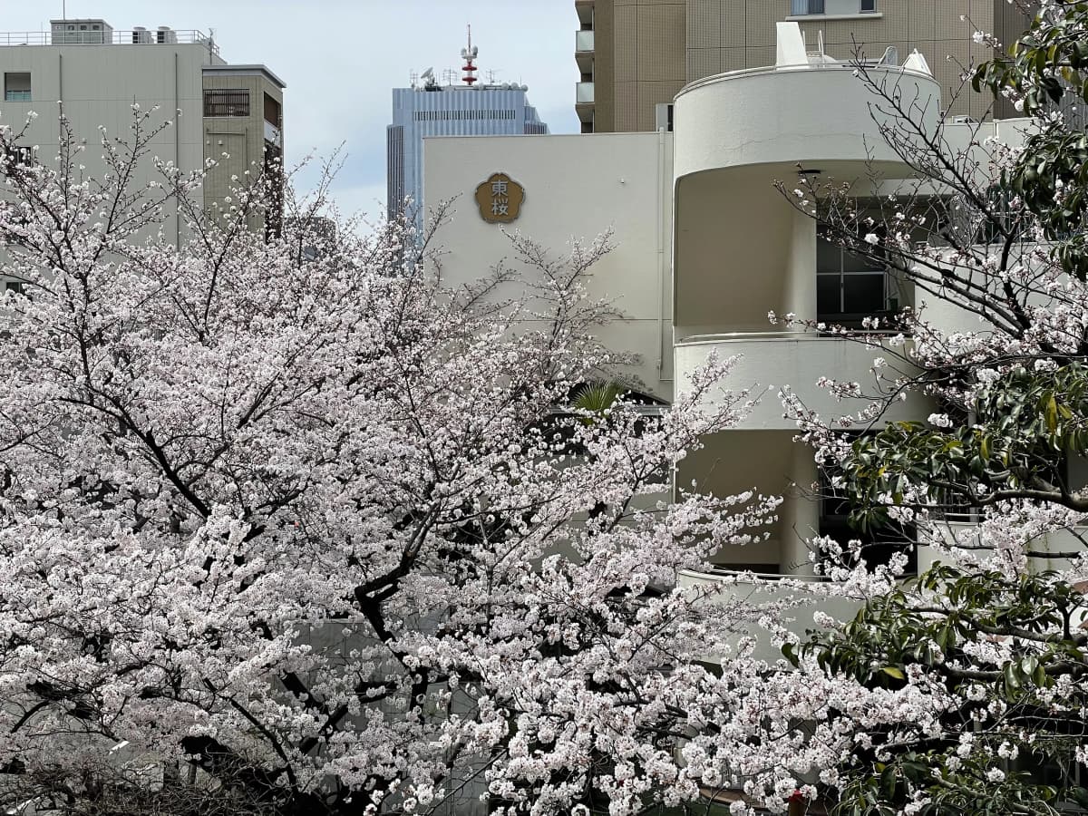 サムネイル画像 5