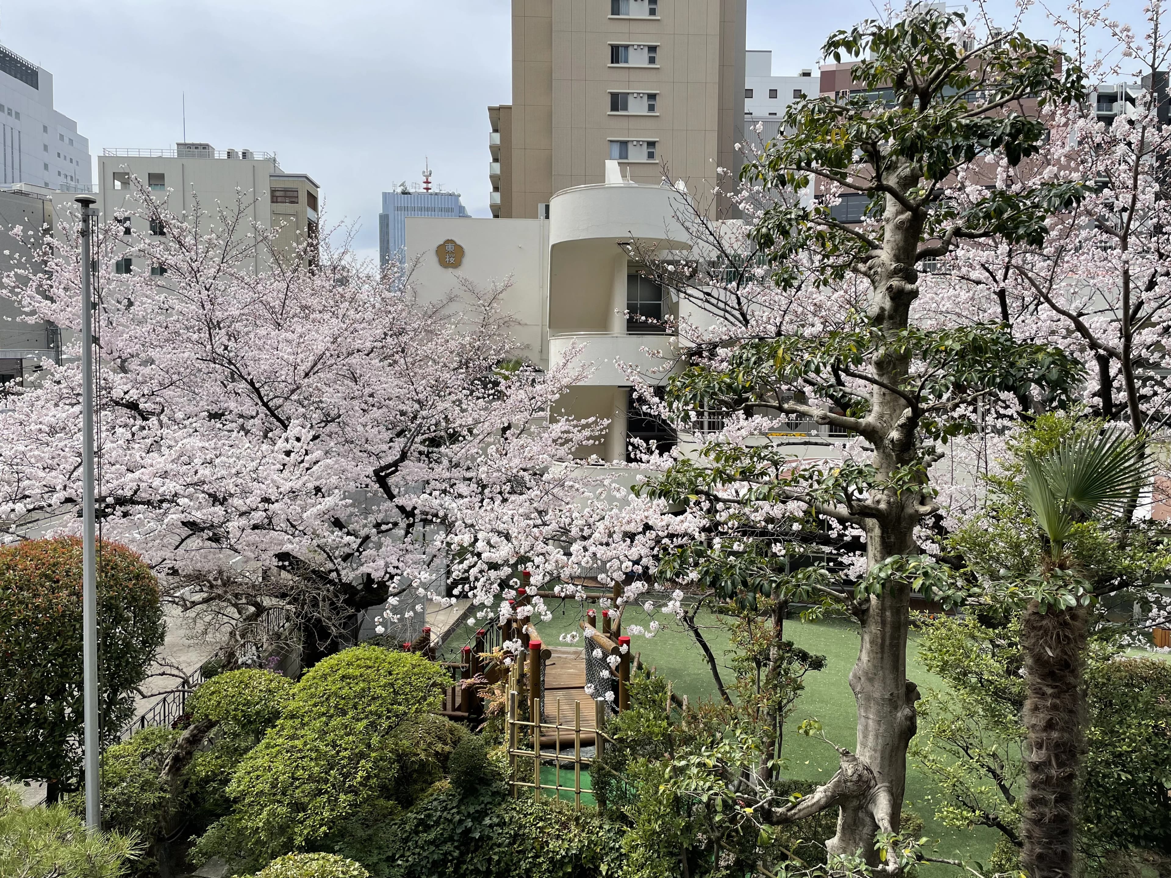 スマイルスポーツクラブ 運動・体操・陸上 東桜幼稚園教室のサムネイル画像 3