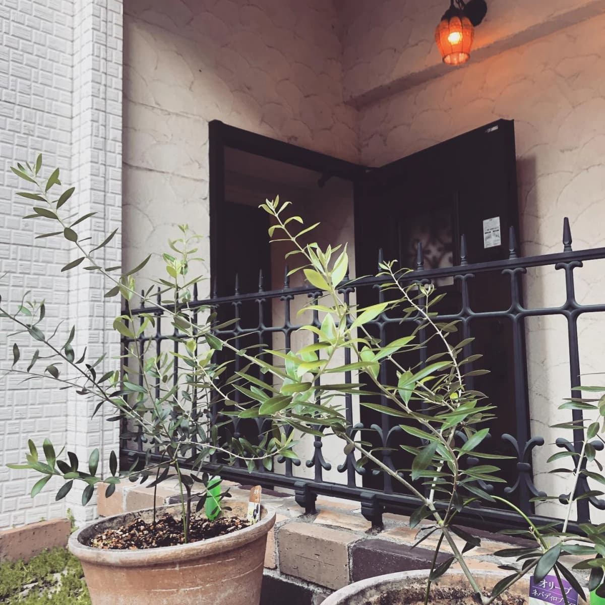 8fit(エイトフィット) 運動・体操・陸上 星が丘元町教室 画像 137