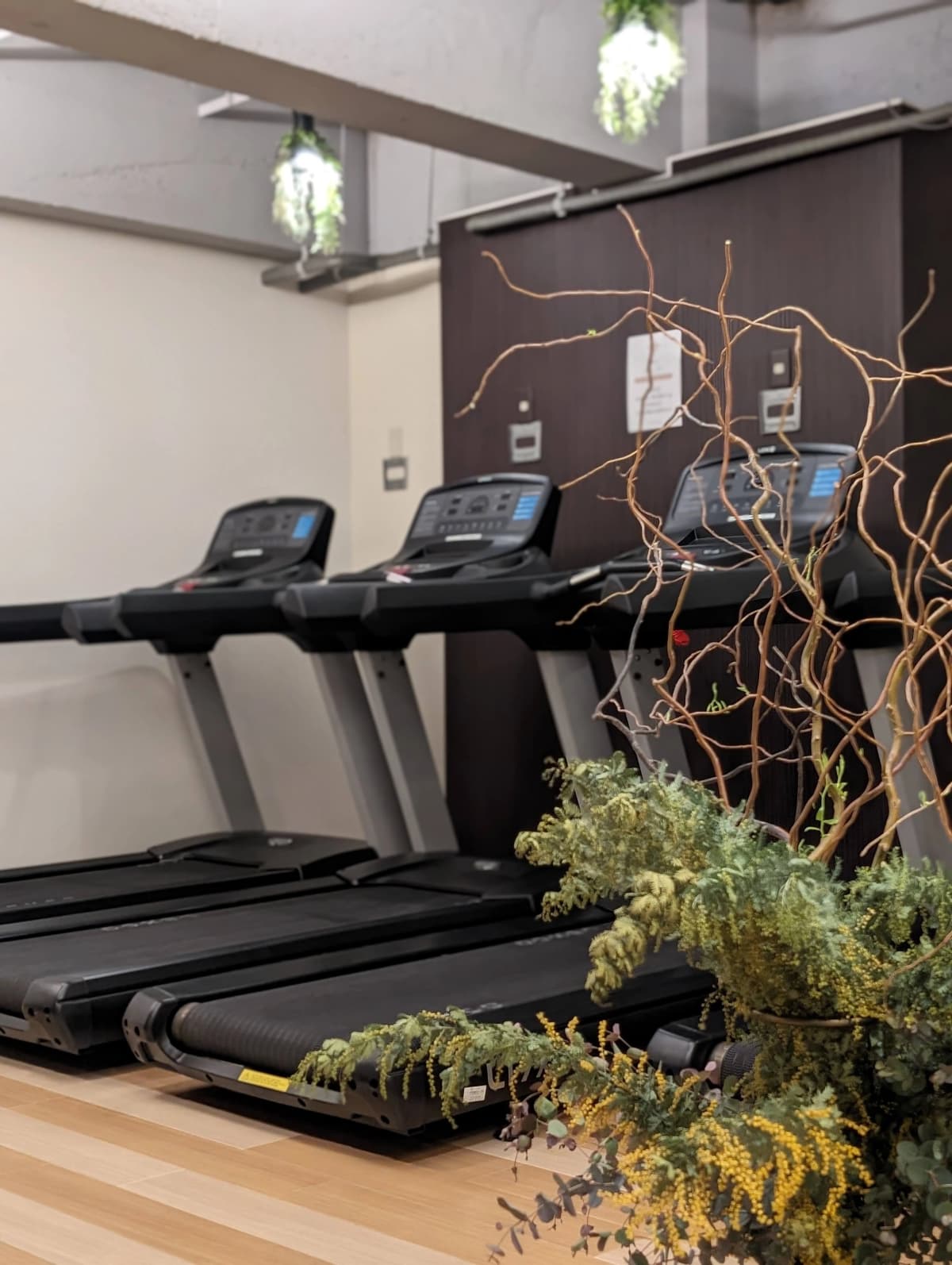 8fit(エイトフィット) 運動・体操・陸上 星が丘元町教室 画像 141