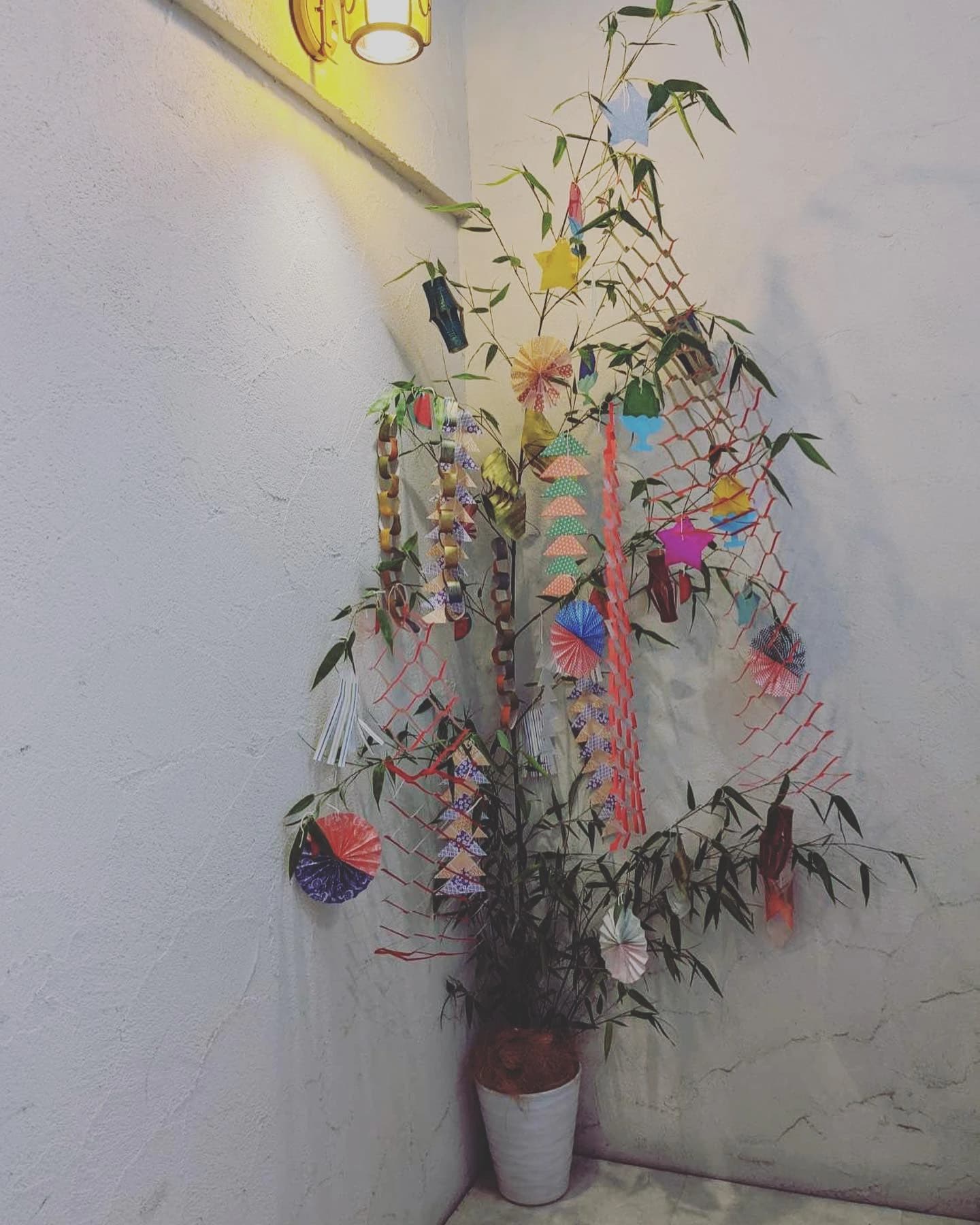 8fit(エイトフィット) 運動・体操・陸上 星が丘元町教室のサムネイル画像 4