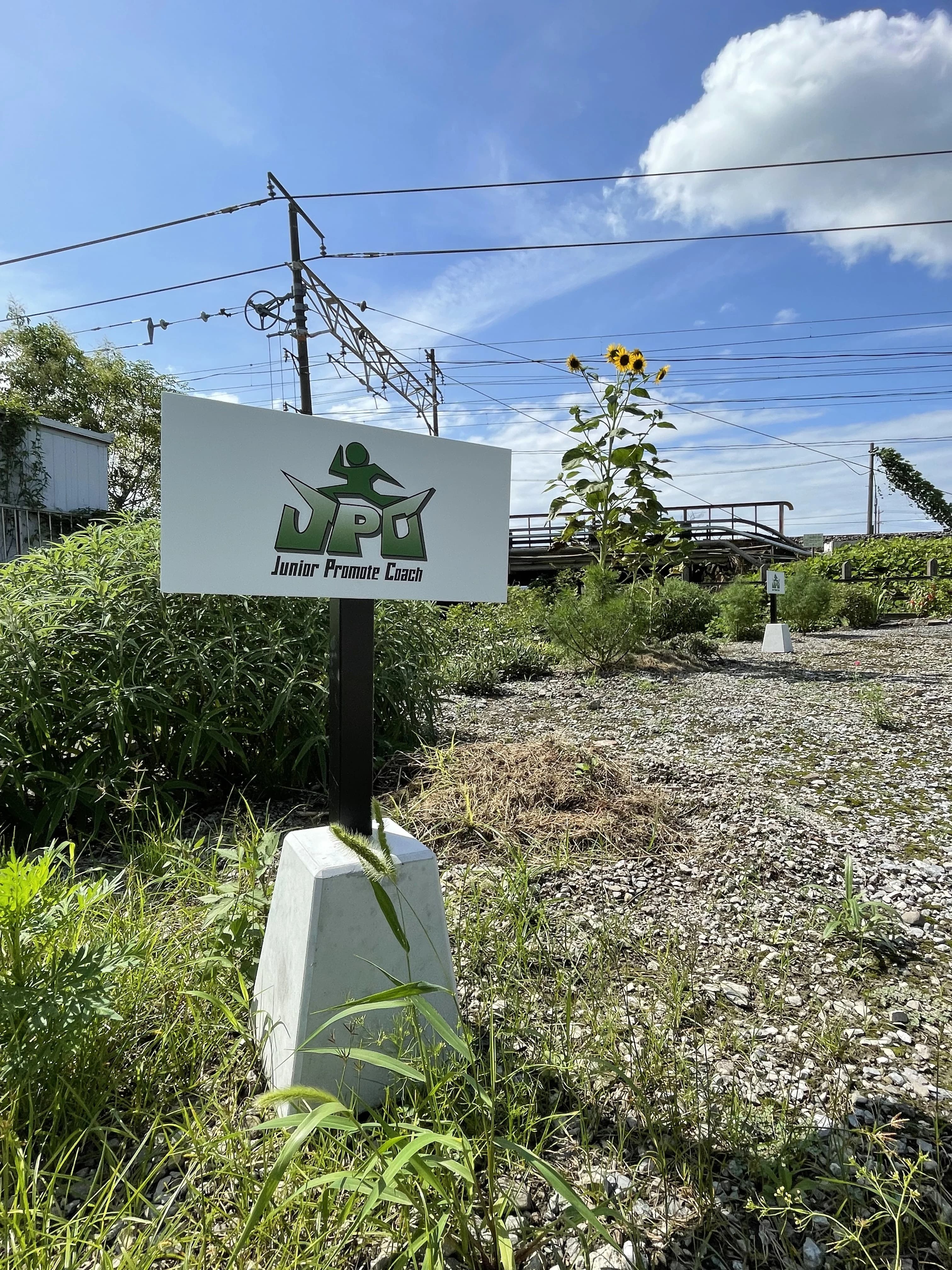垣っ子 運動・体操・陸上 加賀野教室のサムネイル画像 4