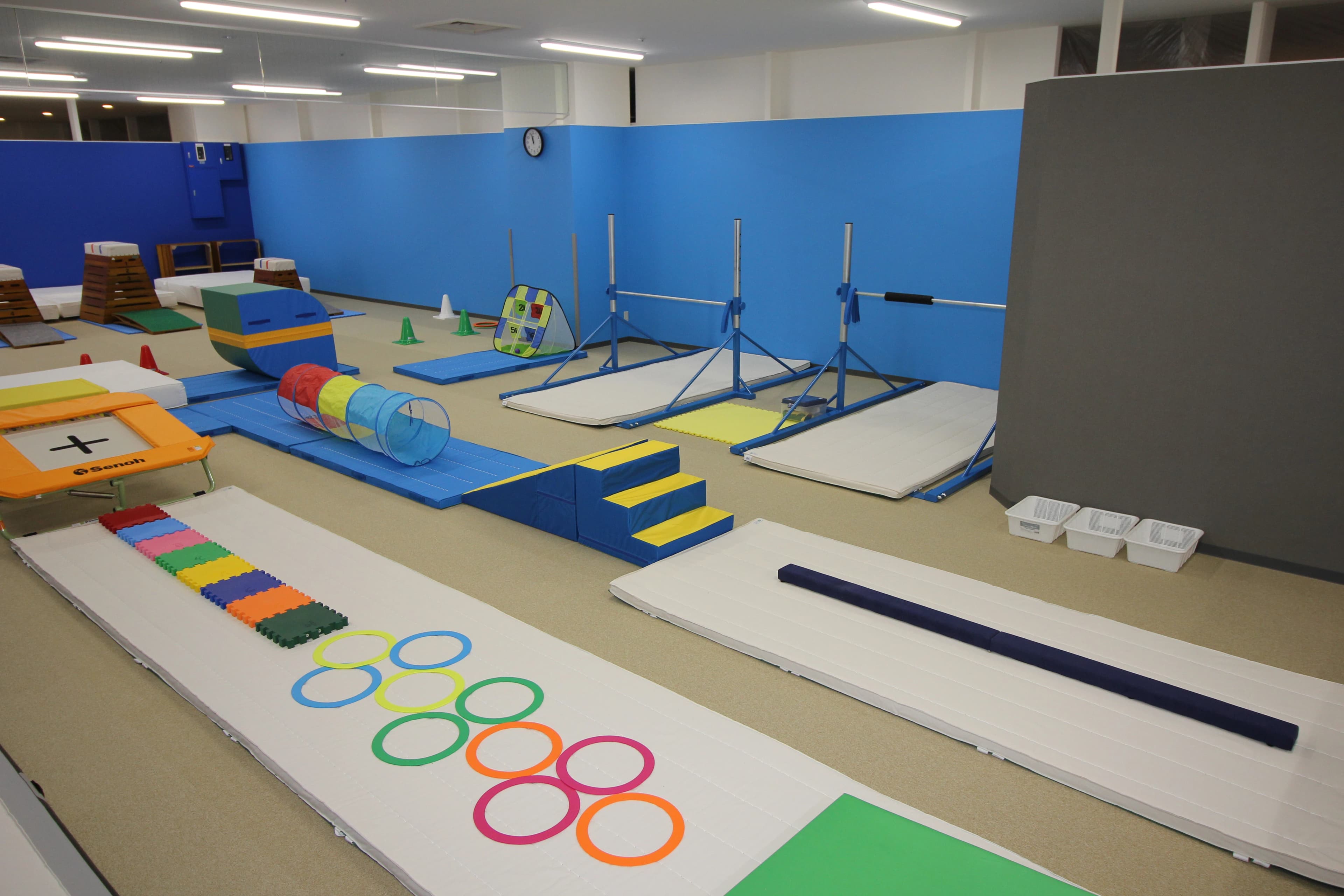 HOS 運動・体操・陸上 HOS 茨木体操教室のメイン画像