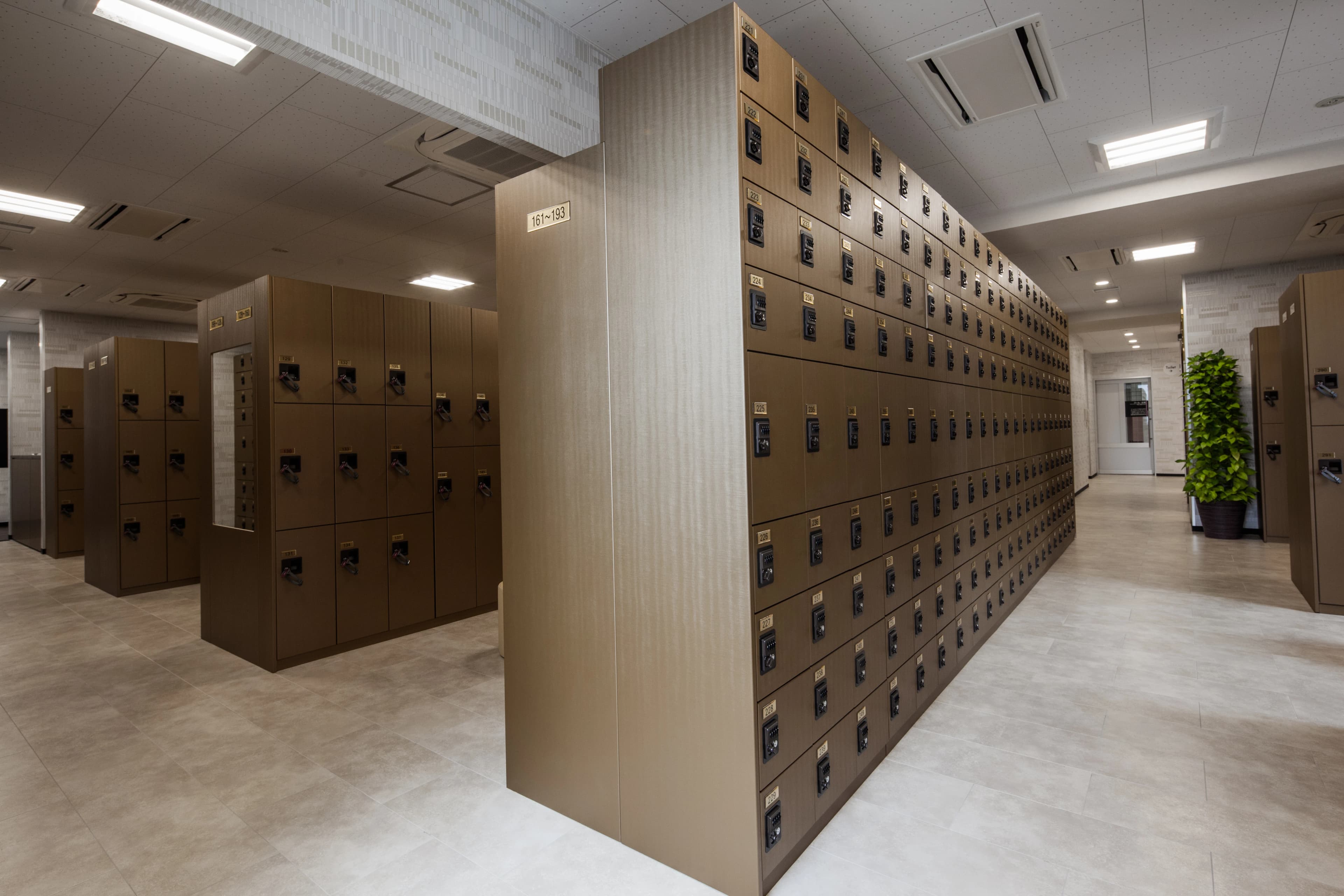 bj(バスケットボールジャパン)アカデミー スポーツクラブNAS篠崎のサムネイル画像 5