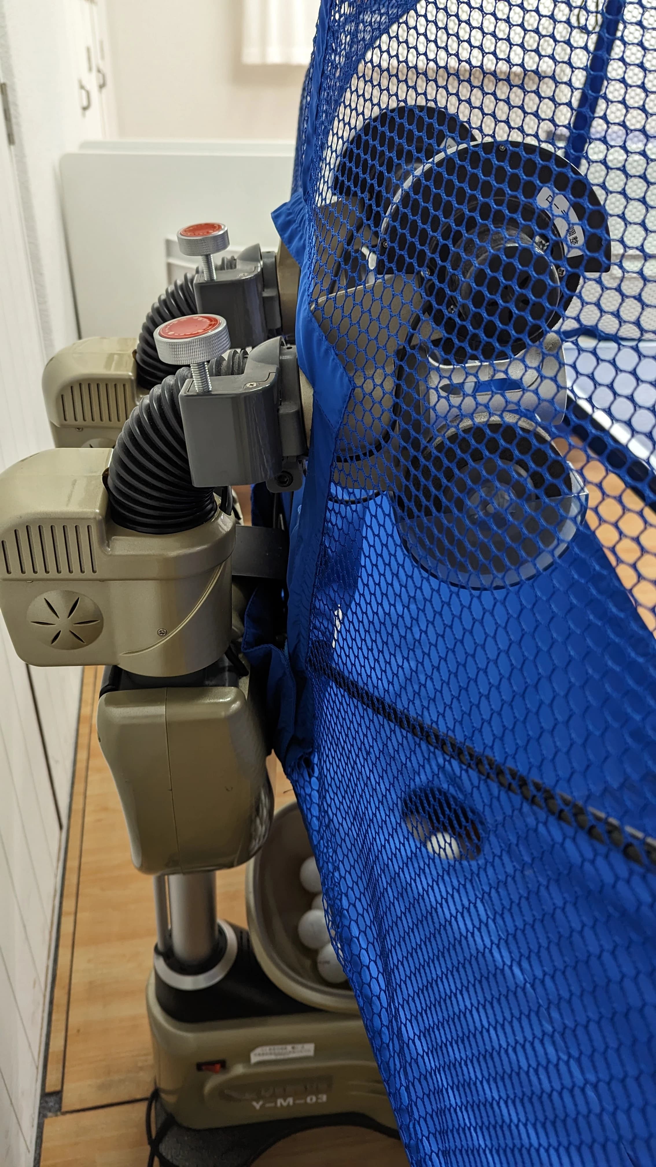 Dazzling Club バスケットボール 港区立芝小学校のメイン画像