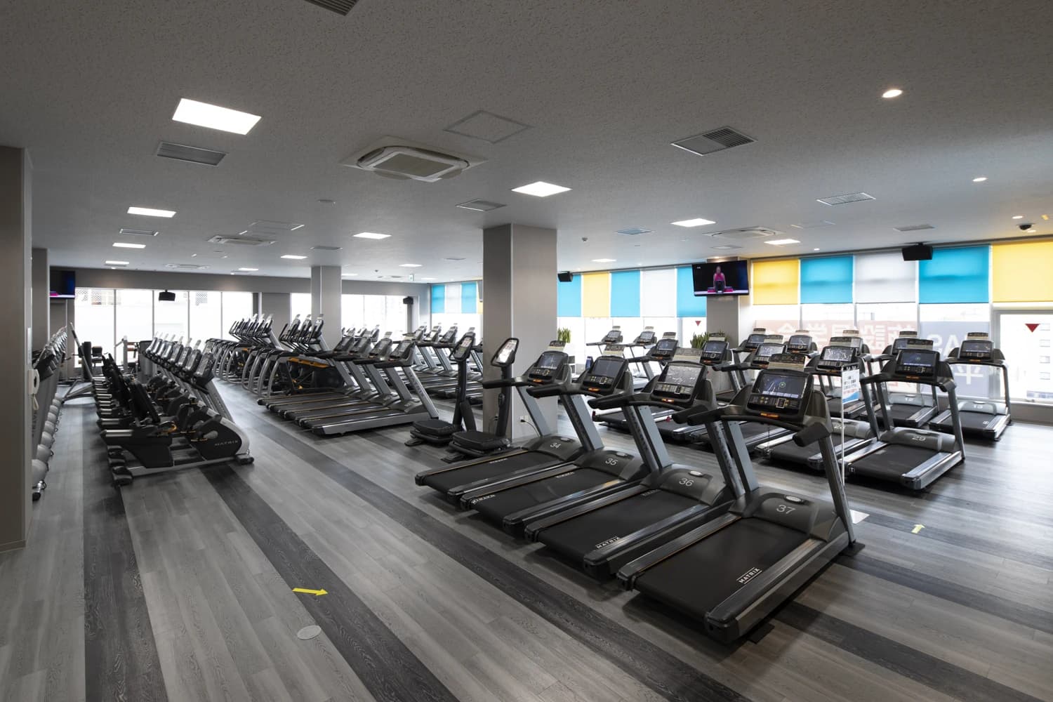 bj(バスケットボールジャパン)アカデミー スポーツクラブNAS平塚 画像 20