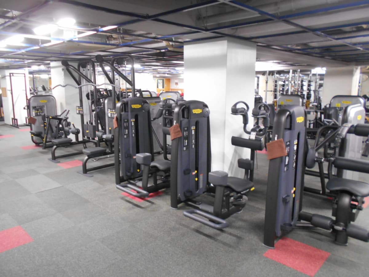 サムネイル画像 5