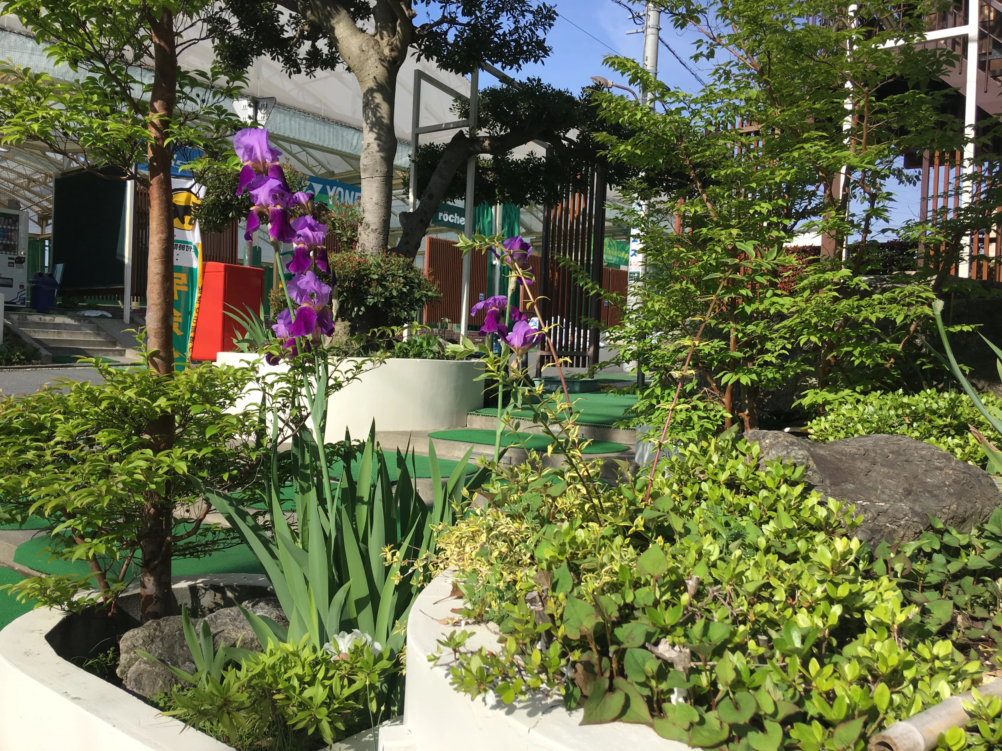 つくし野テニスカレッジ つくし野教室のメイン画像