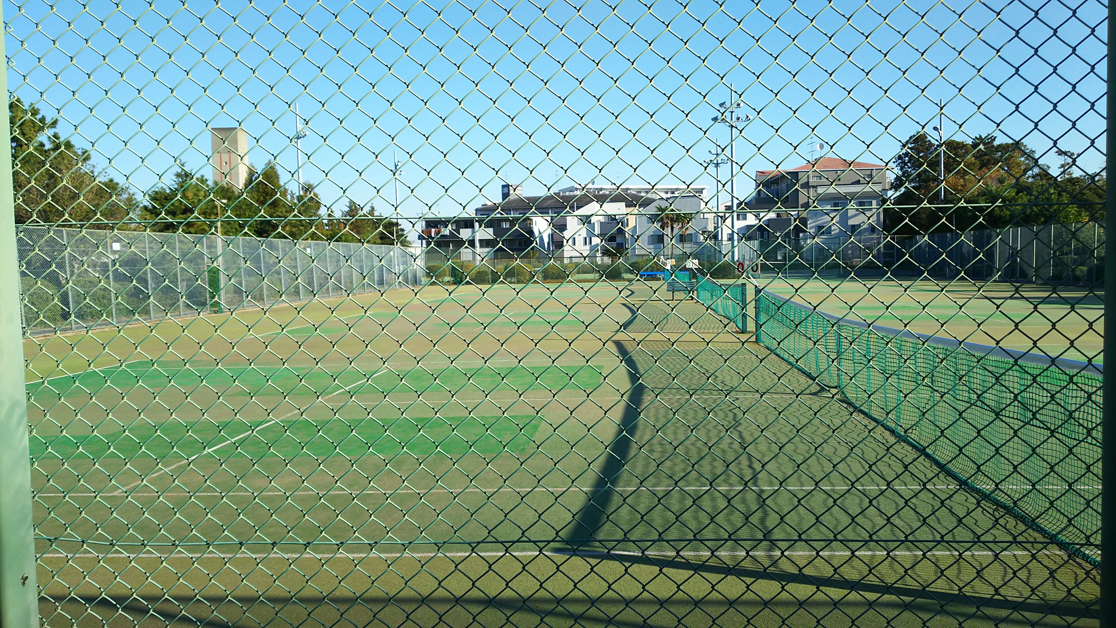 横浜グリーンテニスクラブ 野庭町教室 画像 1