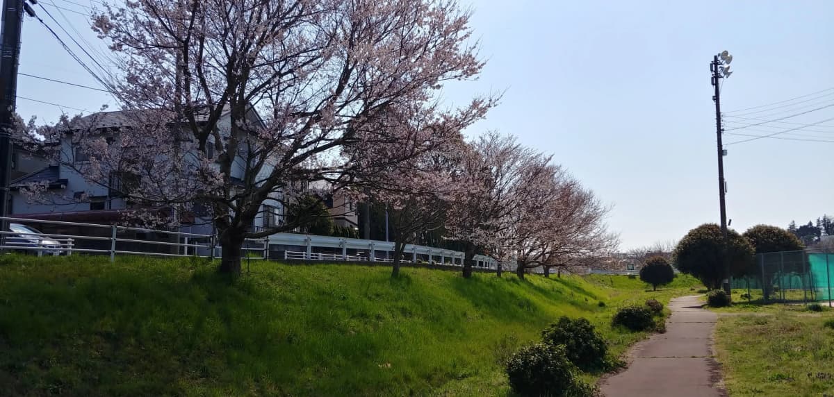 サムネイル画像 6