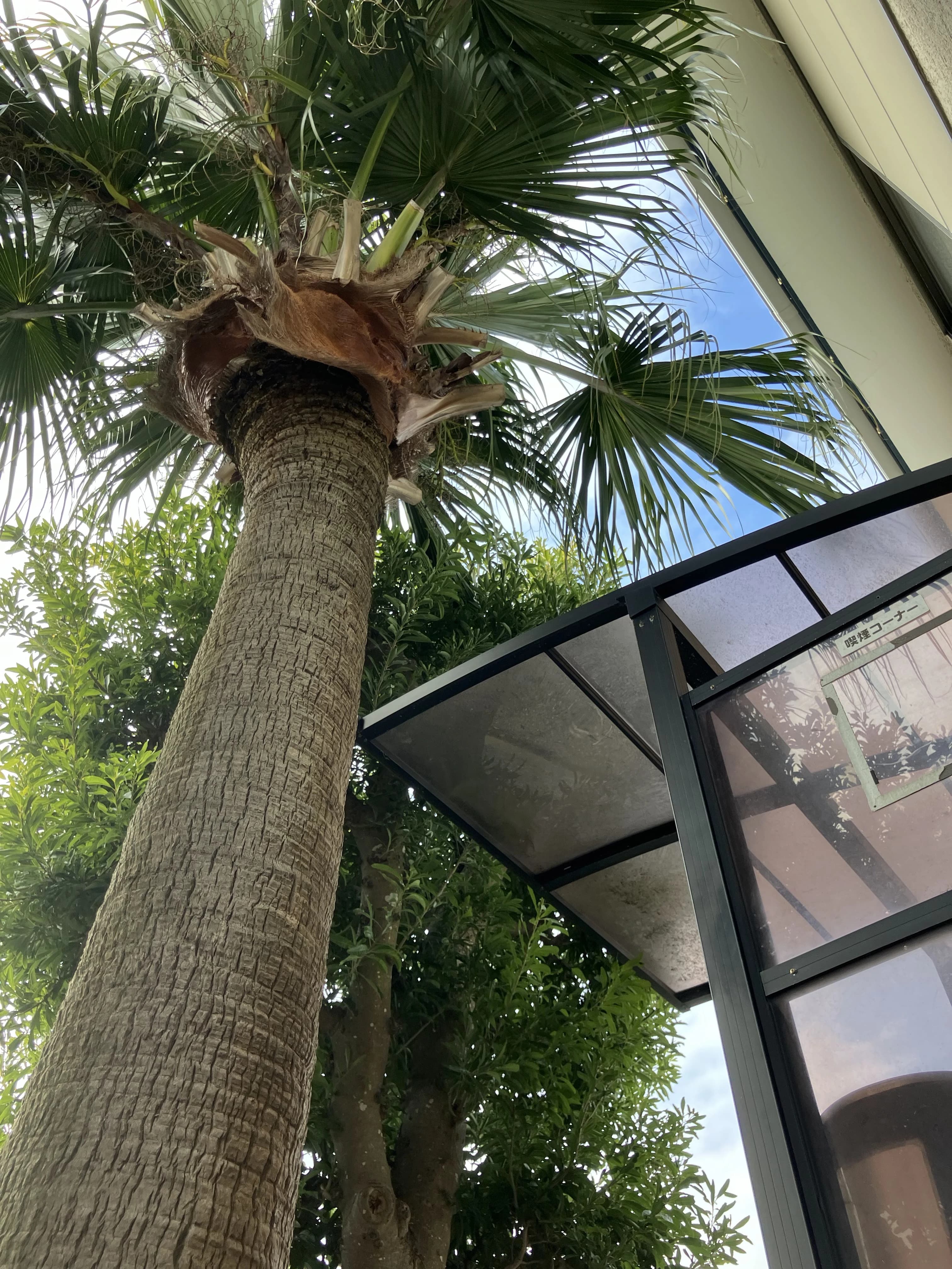 イザワテニスガーデンテニススクール 石川教室 画像 3